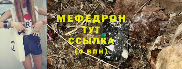 стаф Зерноград
