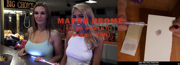 стаф Зерноград