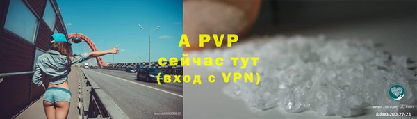 стаф Зерноград